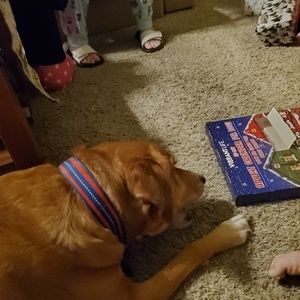 Meet your Posher, Bernie